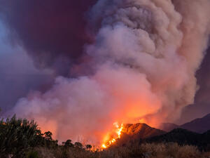 Combatting climate change 