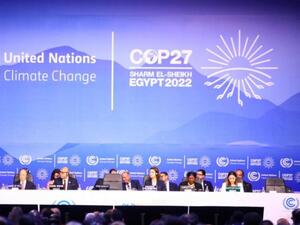 Cop 27 
