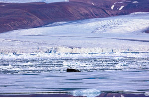 Greenland's thinning ice 