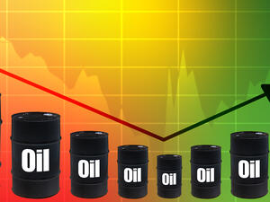 Oil rebounds