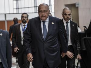  وزير الخارجية المصري سامح شكري