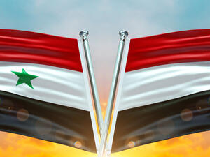 Shutterstock  Egyptian foreign minister