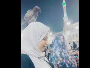 طير يستقر على رأس فتاة اثناء صلاتها في مكة