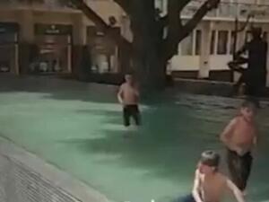 بركة بيروت