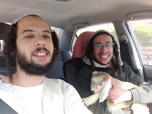 وقالت منظمة عائدون لجبل الهيكل ان "نشطاءنا في طريقهم إلى القدس لذبح قرابين الفصح"