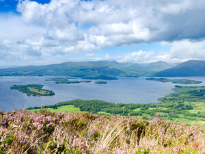 Scottish island is up for sale at over $186,000