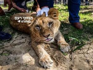 خالة الطفل تحمل ادارة الحديقة المسؤولية