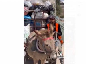 المعاملة السلبية تتحول الى تقدير واحترام بعد ان يعرفو انه خريج تخصص لغة انجليزية وبتقدير مشرف .