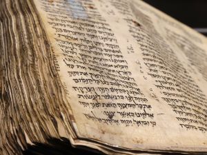 brew Bible