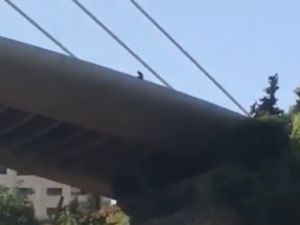 تكرار مشهد الانتحار من جسر عبدون… امرأة تهدد بالقفز بعد ابنها