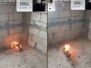 puppy on fire