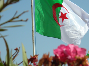 طفل جزائري يلهم رواد وسائل التواصل الإجتماعي