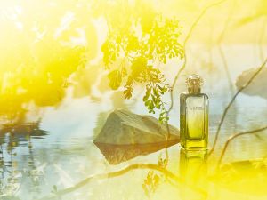  من إيرميس عطر جاردان دي مونسيور لي 