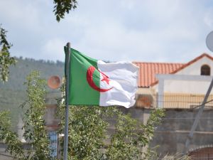 علم الجزائر