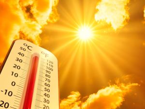  warming world