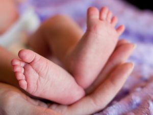 Dutch sperm donor gives birth to 550 kids 