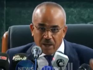 نور الدين بدوي