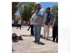 مجموعة من الاشخاص يصلون في المسجد الاقصى على الطريقة الشيعية