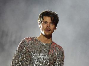 Harry Styles stops concert so fan can go pee