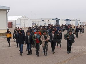 Afghan immigrants in Herat