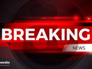 Kyrgyzstan arrests 30 in coup attempt