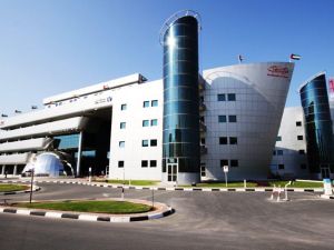 جمارك دبي تساعد السلطات الكندية في ضبط نصف طن من المواد المخدرة