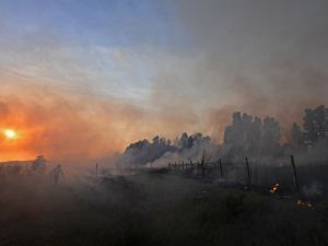 الجزائر تعلن السيطرة على معظم الحرائق المدمرة في شمال وشرق البلاد
