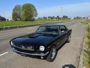 classic car