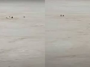 عملية إنقاذ البطولية قام بها شاب جزائري