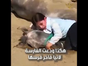 لانيا فاخر 