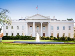 The White House