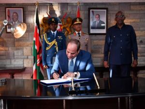 الرئيس المصري، عبد الفتاح السيسي