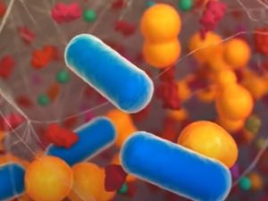 تحذير من حمص اسرائيلي في الاسواق الفلسطينية ملوث ببكتيريا قاتلة لأجنة البشر