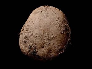 Potato sold for $1m