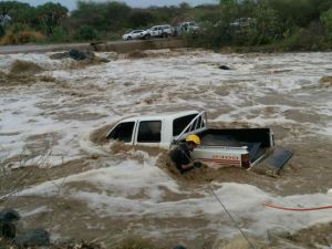 سيول في سلطنة عمان