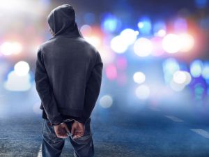 Spies arrested