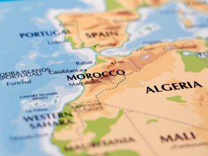 قالت الرئاسة الجزائريةإنها مستعدة لتقديم كل إمكانياتها المادية والبشرية تضامنا مع الشعب المغربي الشقيق