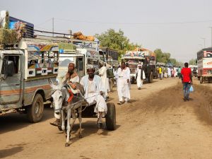 "انتشار كارثي" لحمى الضنك يفتك بالمئات ويصيب الالاف في السودان