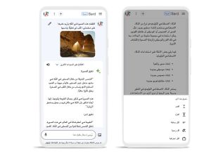 Google تطلق إمكانية سؤال Bard باستخدام الصور باللغة العربية