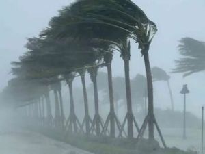 عاصفة التنين تقترب من مصر