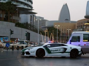 شرطة دبي تحبط أكبر عملية محاولة تهريب "كبتاغون" في العالم