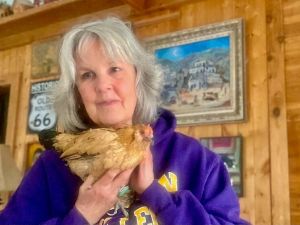 Peanut the chicken