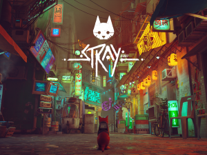 Stray