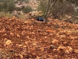 المستوطنون يرتكبون مجزرة في نابلس