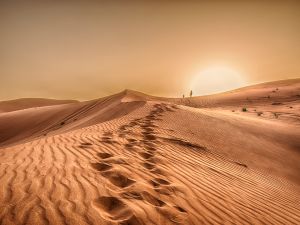 Sahara