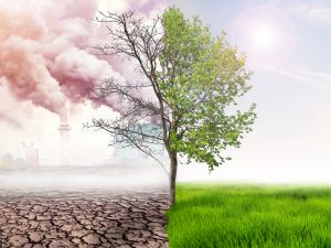 pollution
