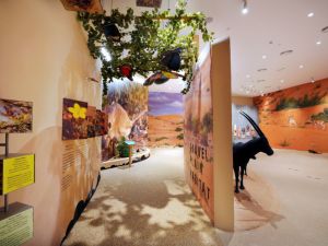 New visitor centre opens at Dubai Desert Conservation Reserve