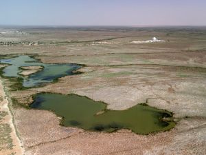 الجفاف ينهي أهوار العراق