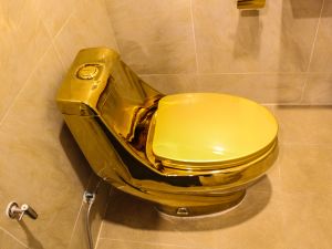 golden toilet