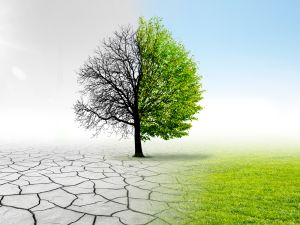 Climate Change
